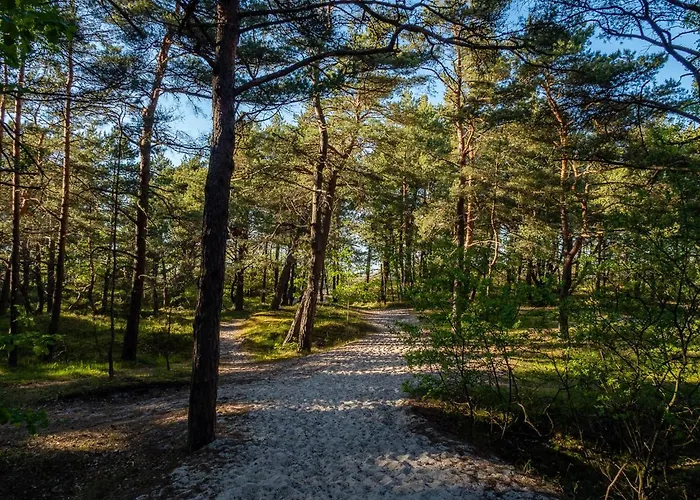 Nocleg ze śniadaniem Nova Fala 3*