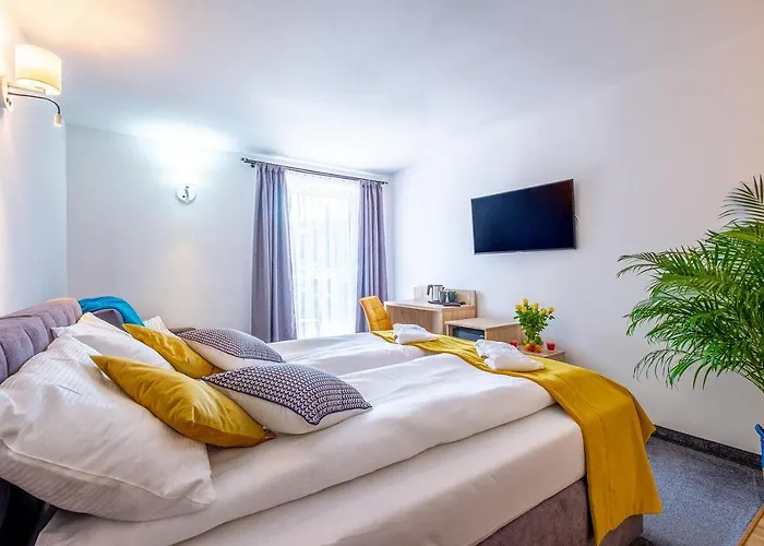 Nova Fala B&B 웨바