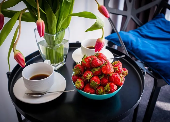 Nova Fala B&B 웨바